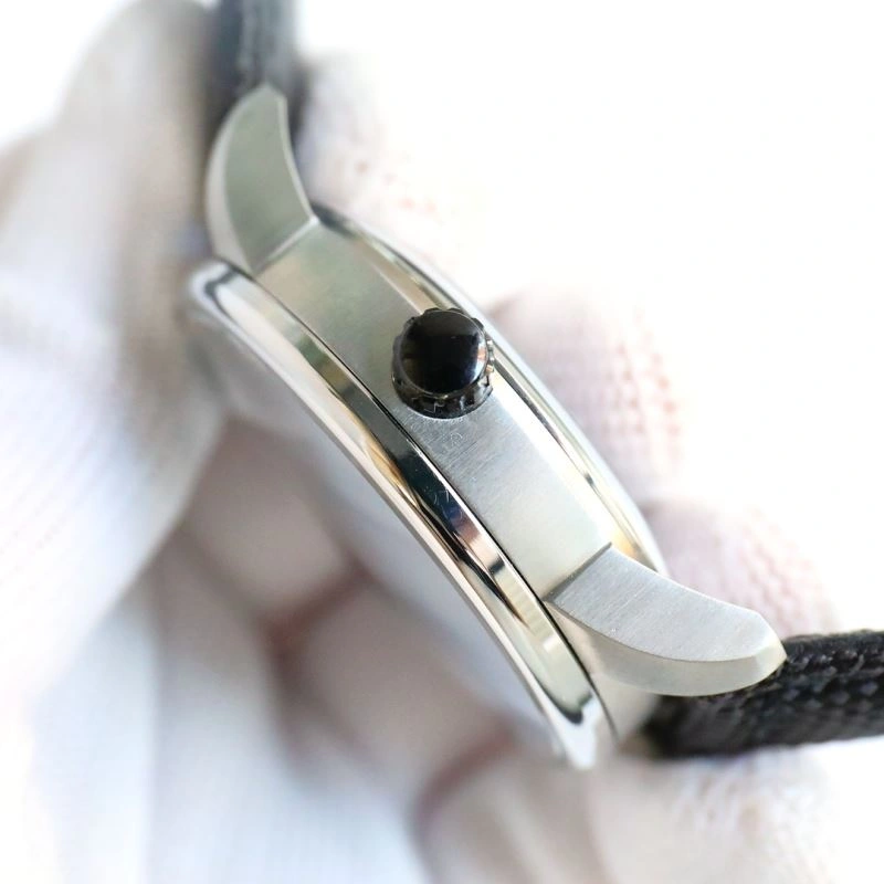 AP Watches Compact 176619
