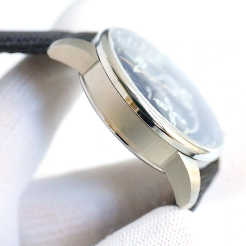 AP Watches Compact 176619