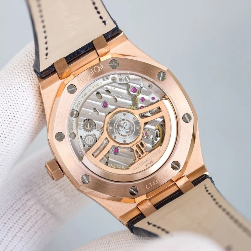 GoAnywhere AP Watches 176459