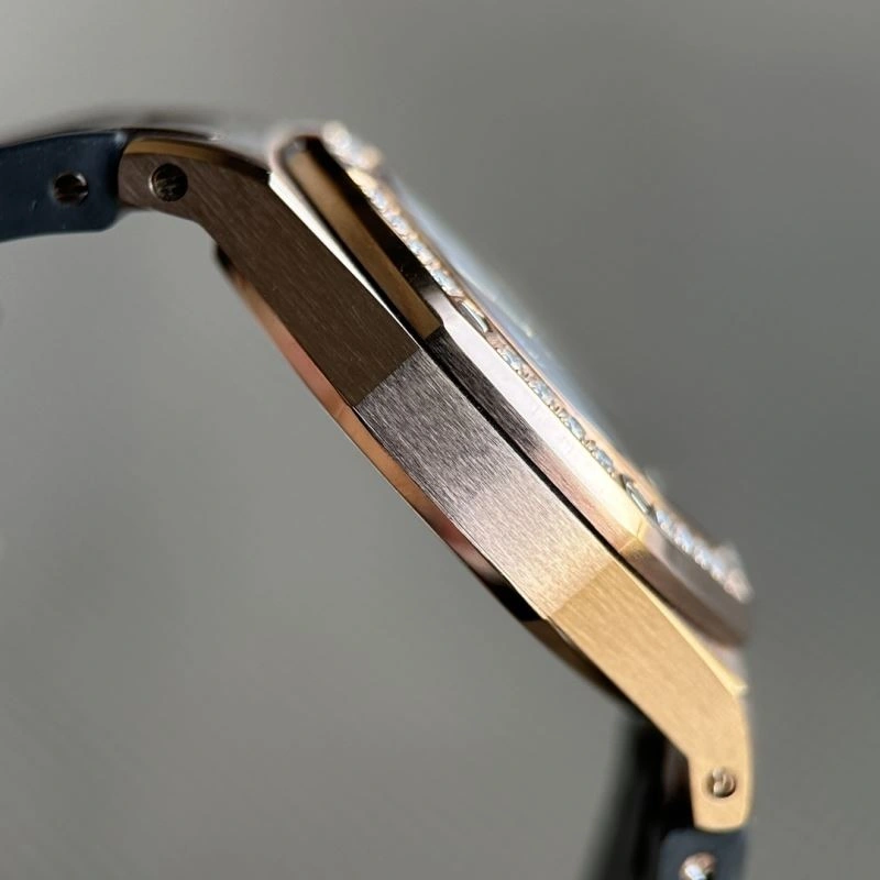 Stylish AP Watches 176482