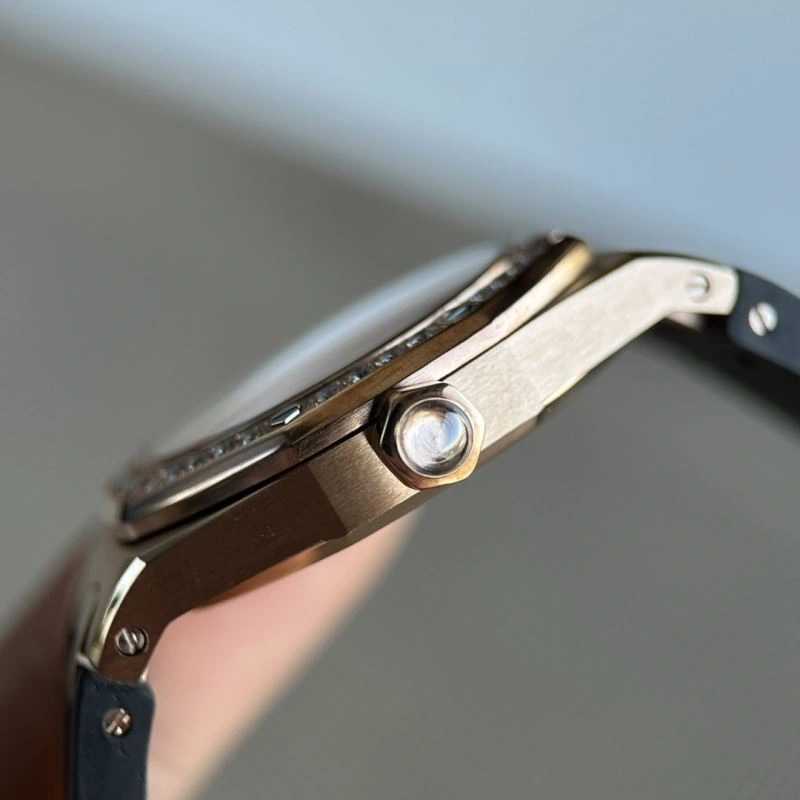 Stylish AP Watches 176482