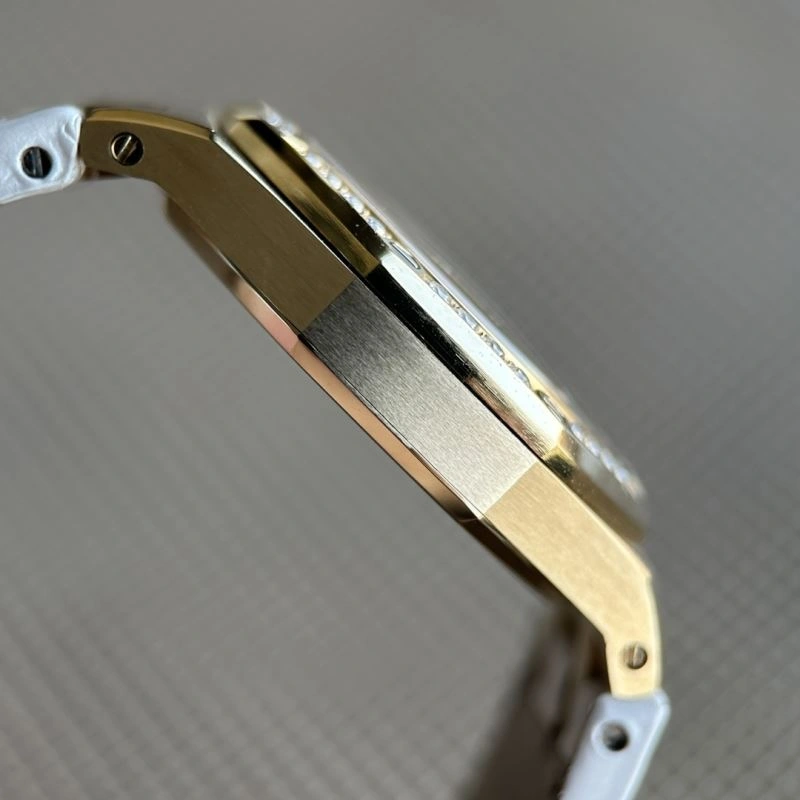 DailyWear AP Watches 176406