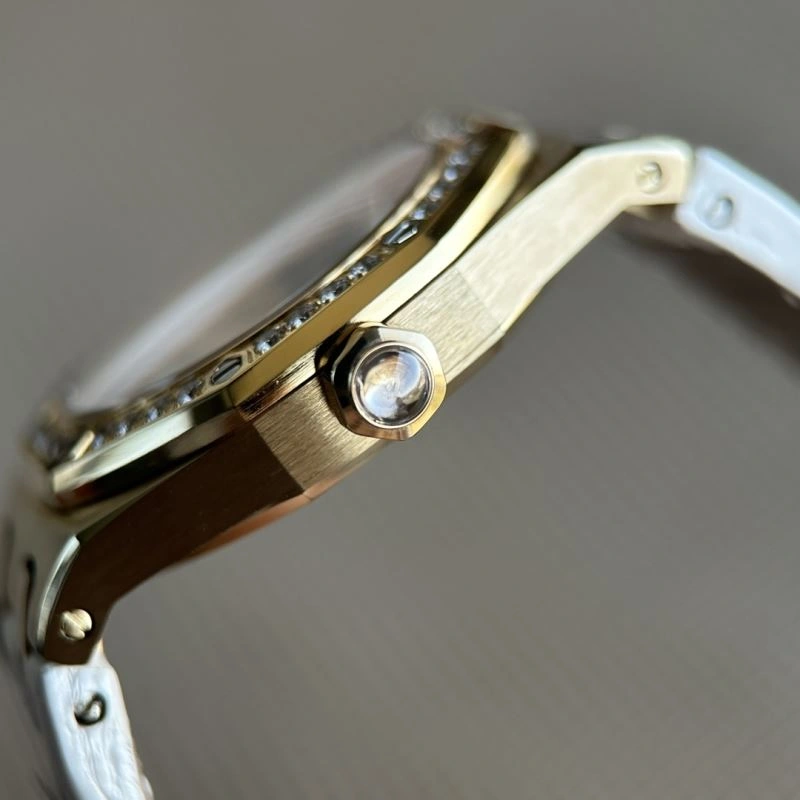 DailyWear AP Watches 176406