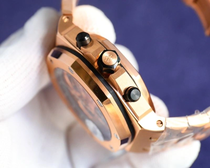 GoAnywhere AP Watches 176428