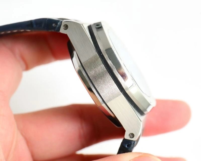 Packable AP Watches 176346