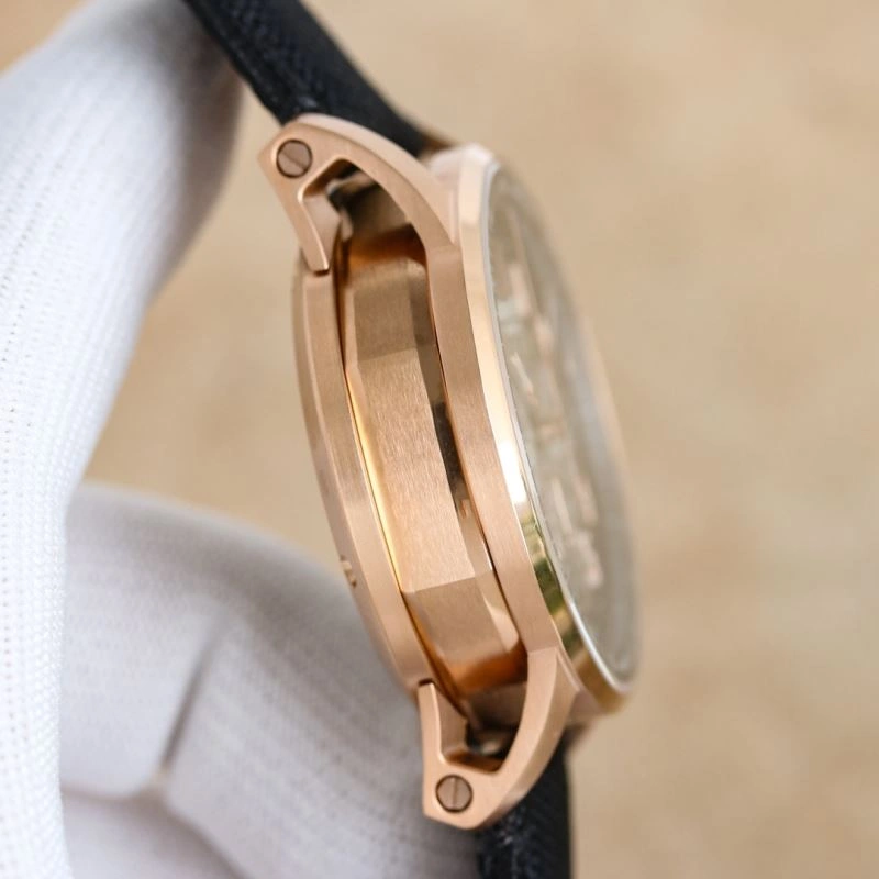 GoAnywhere AP Watches 176143