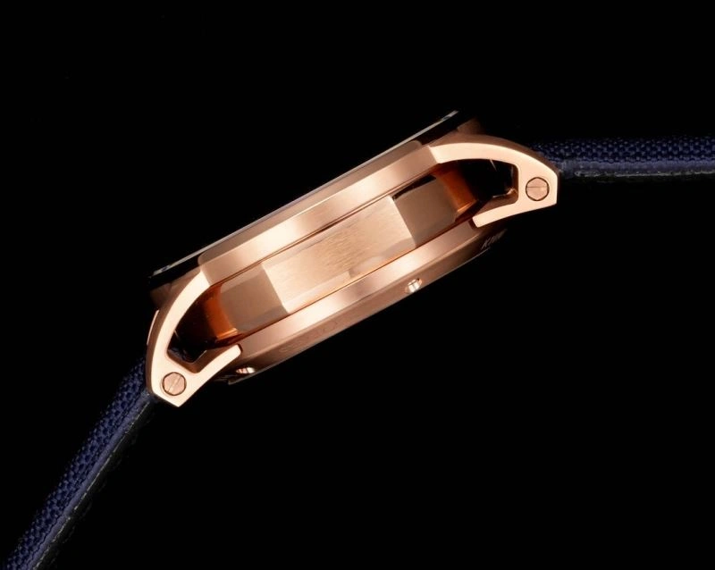 Cozy AP Watches 176105