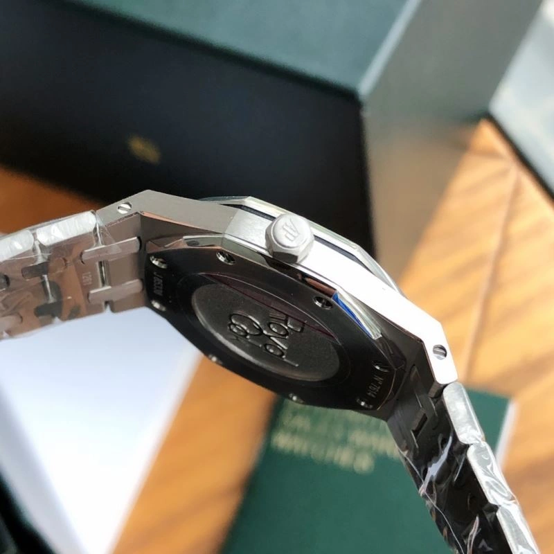 AP Watches FlexibleFit 176040