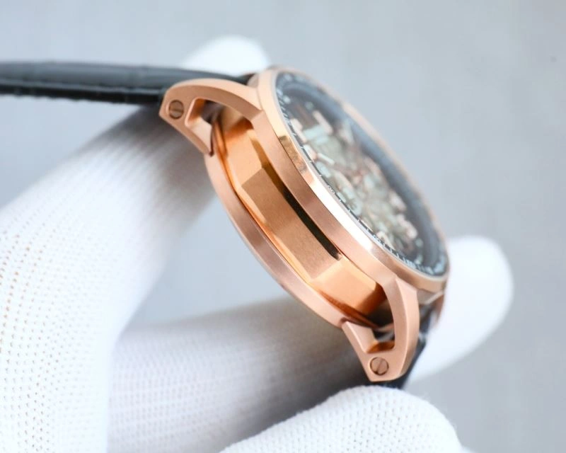 ModernLook AP Watches 175876