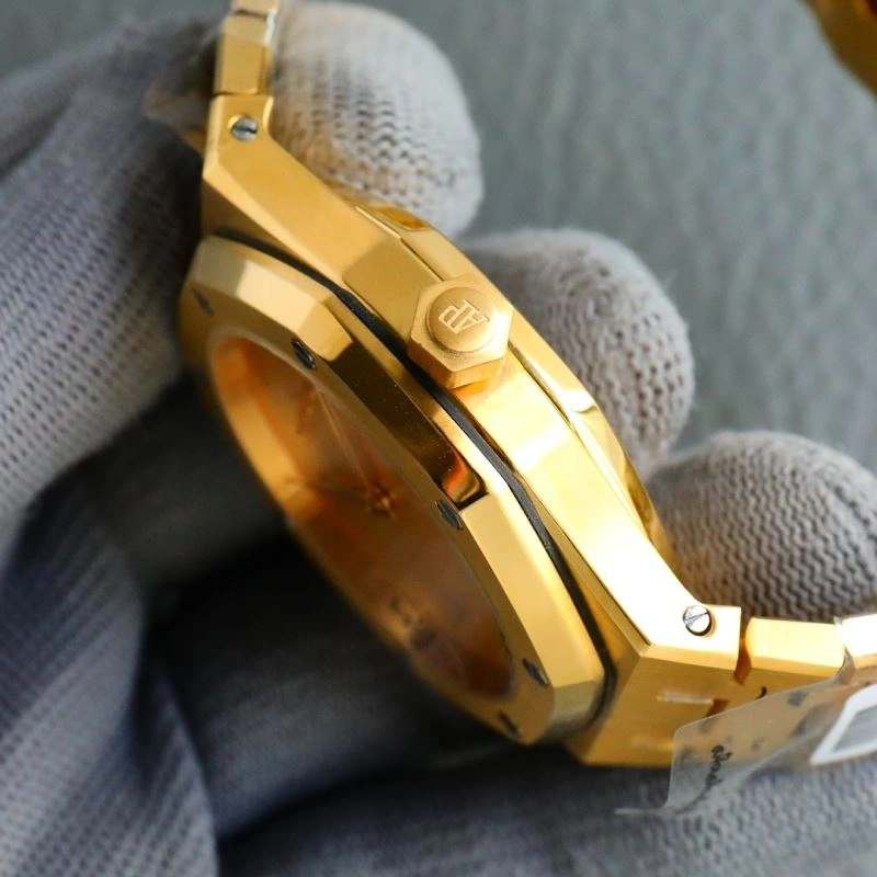 GoAnywhere AP Watches 176150
