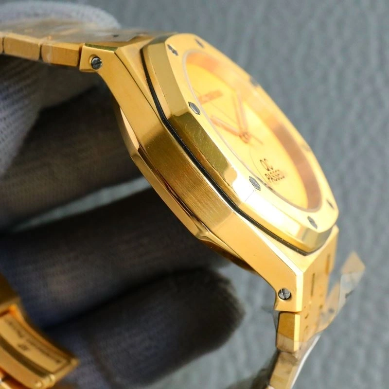 GoAnywhere AP Watches 176150