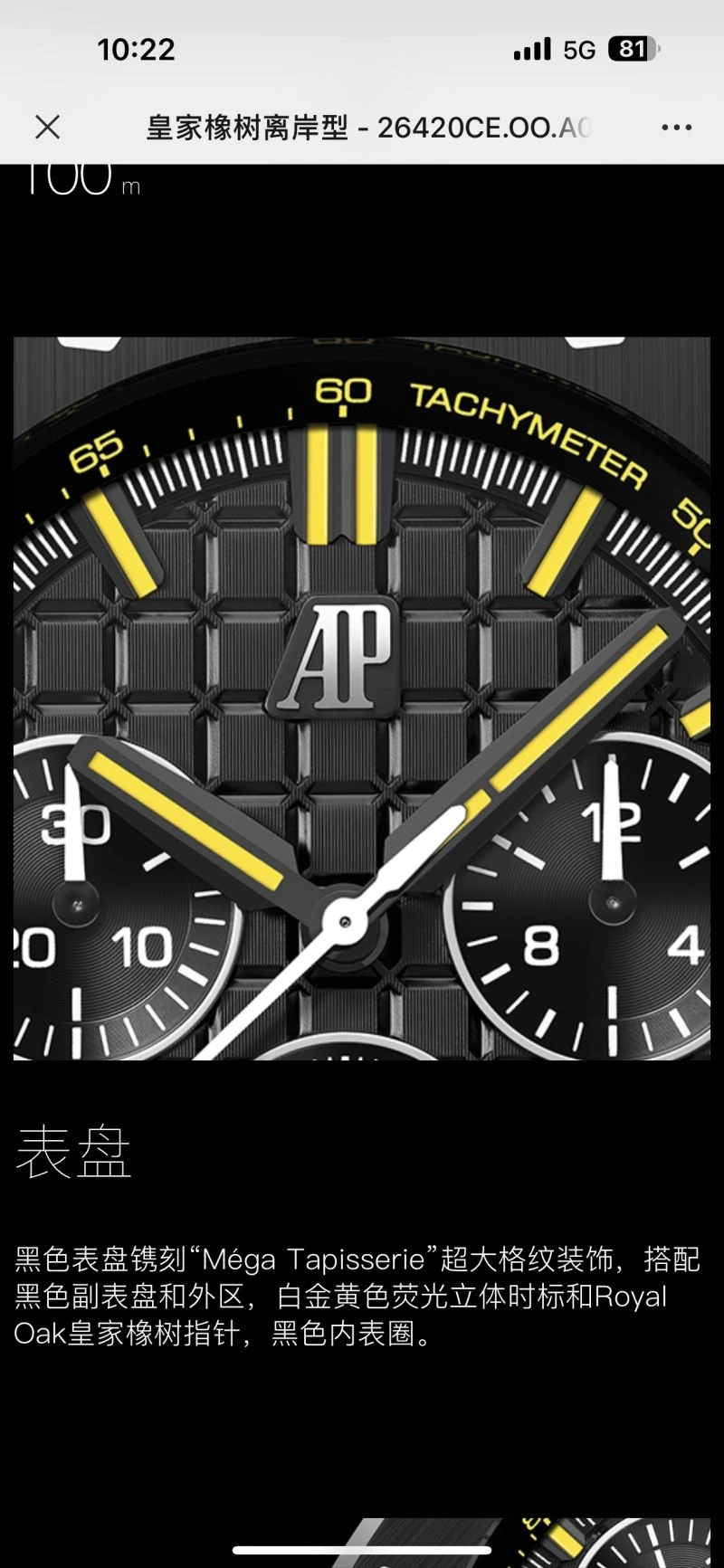 AP Watches Snug 176182