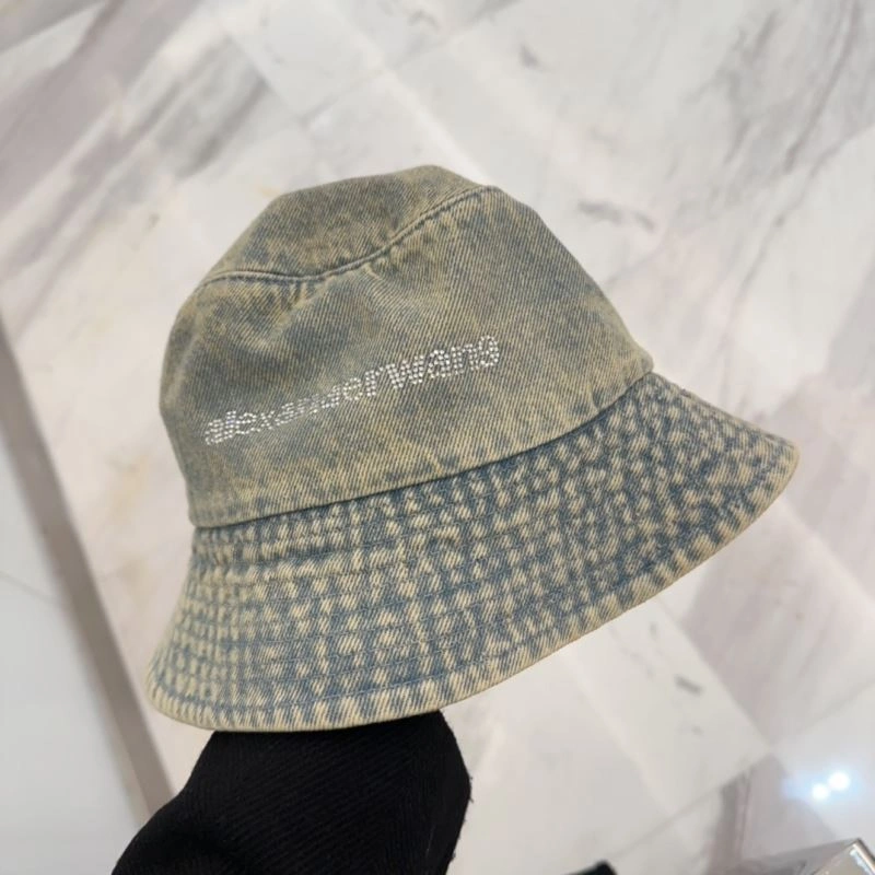 Fashionable Alexander Wang Caps 261078