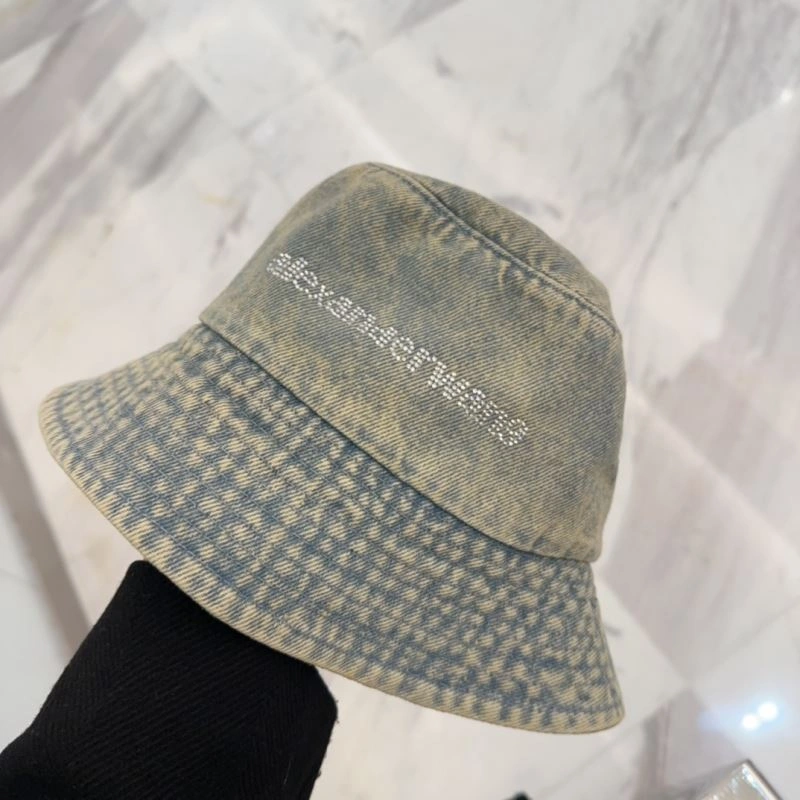 Fashionable Alexander Wang Caps 261078