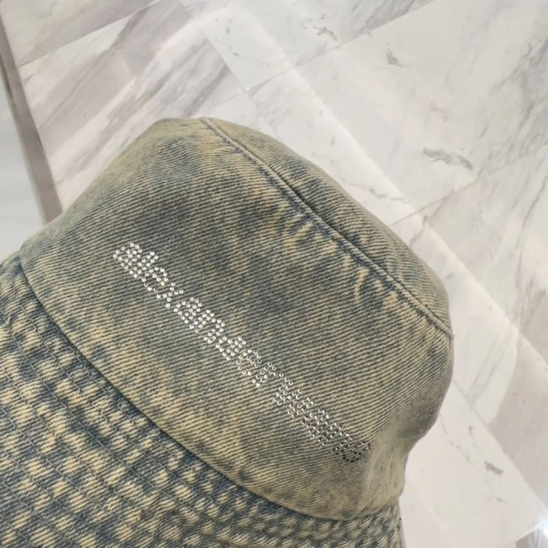 Fashionable Alexander Wang Caps 261078