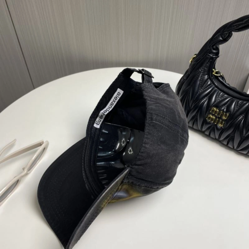 Popular Alexander Wang Caps 261073