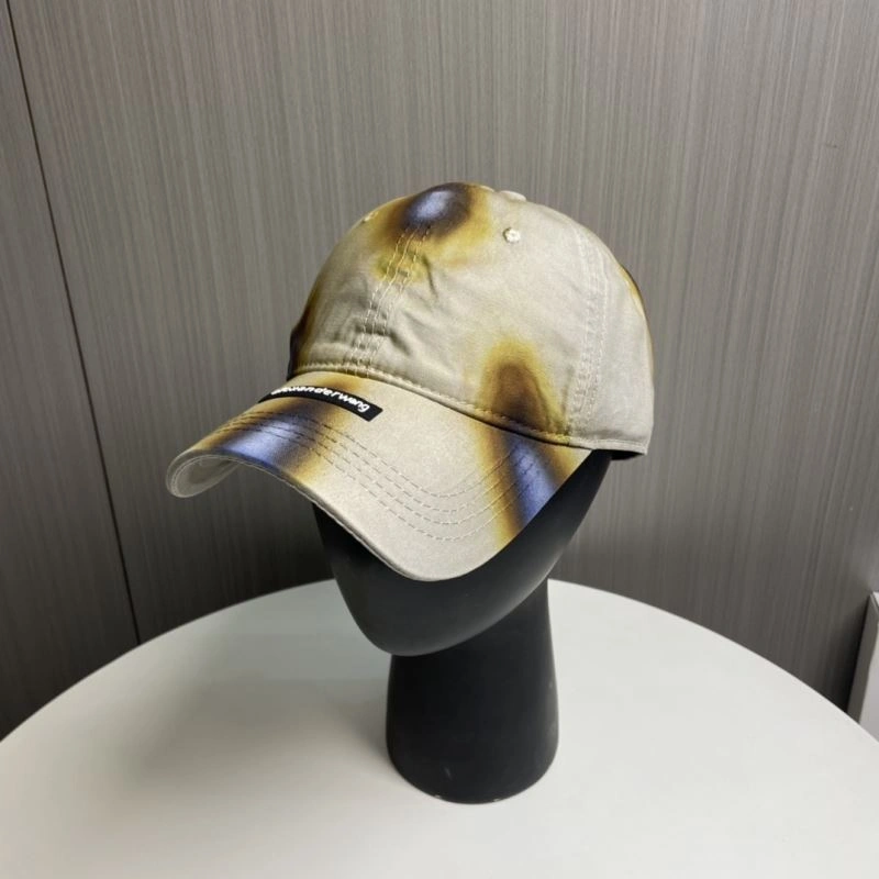 Neat Alexander Wang Caps 261075