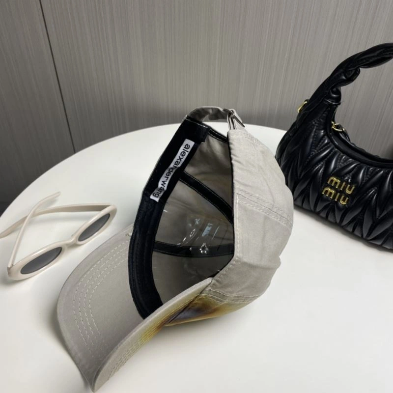 Neat Alexander Wang Caps 261075
