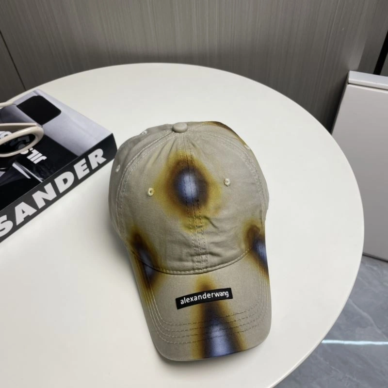 Neat Alexander Wang Caps 261075
