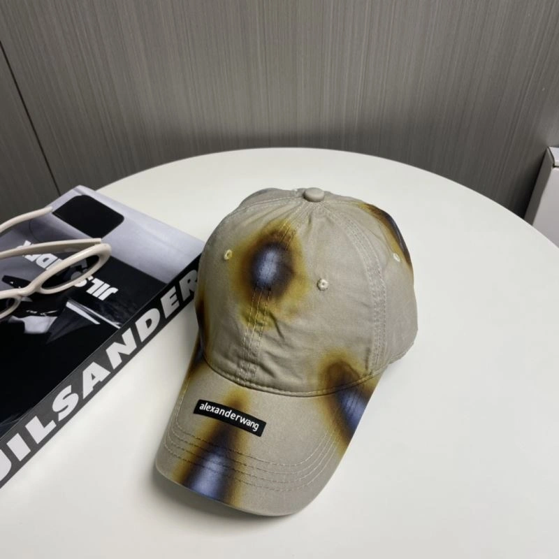 Neat Alexander Wang Caps 261075