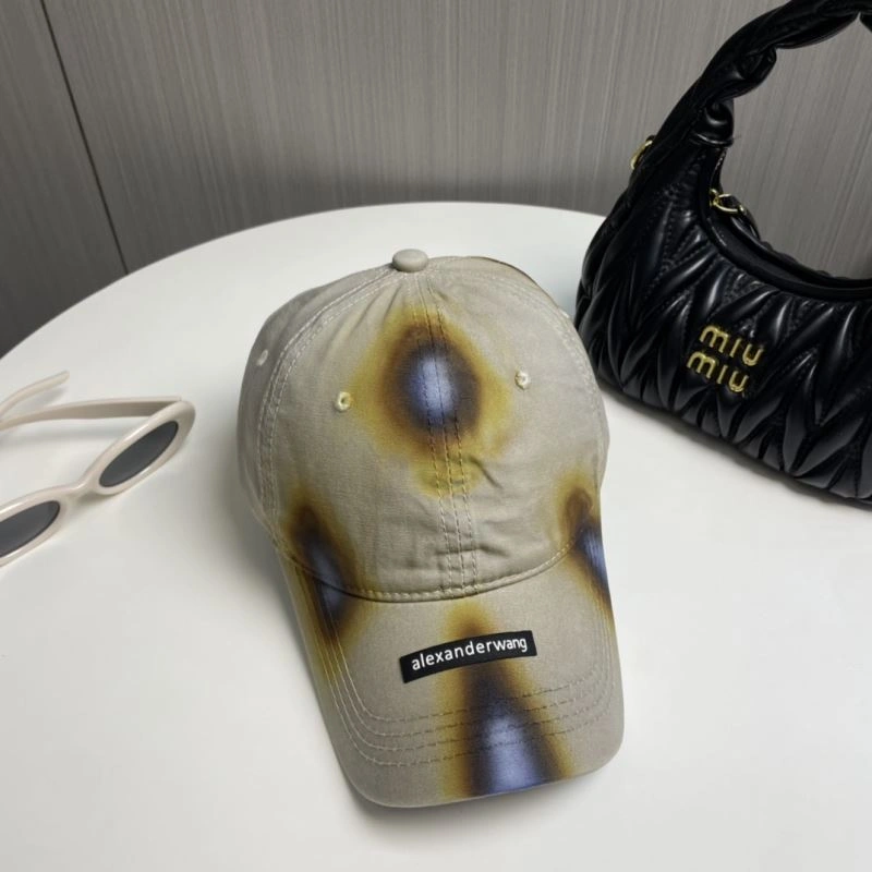 Neat Alexander Wang Caps 261075