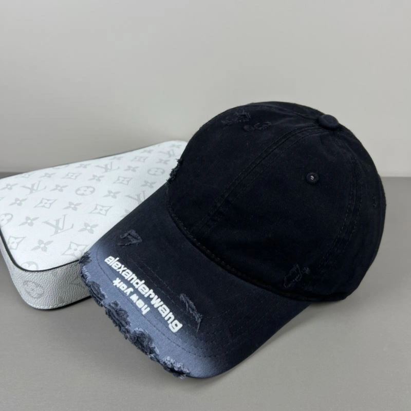 HighPerformance Alexander Wang Caps 261061