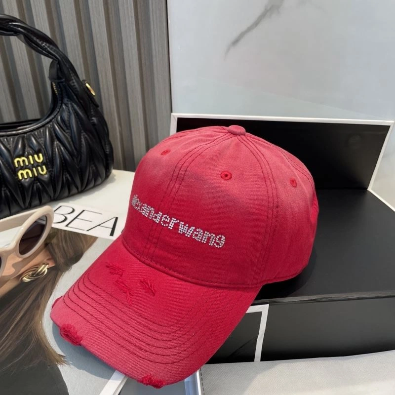 Classic Alexander Wang Caps 261053