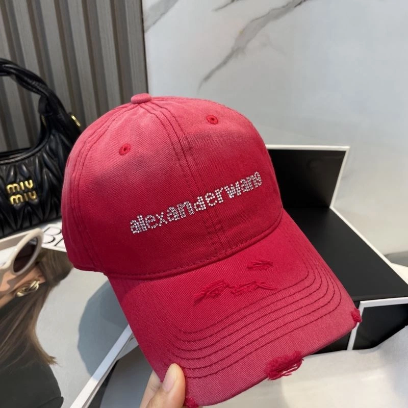 Classic Alexander Wang Caps 261053