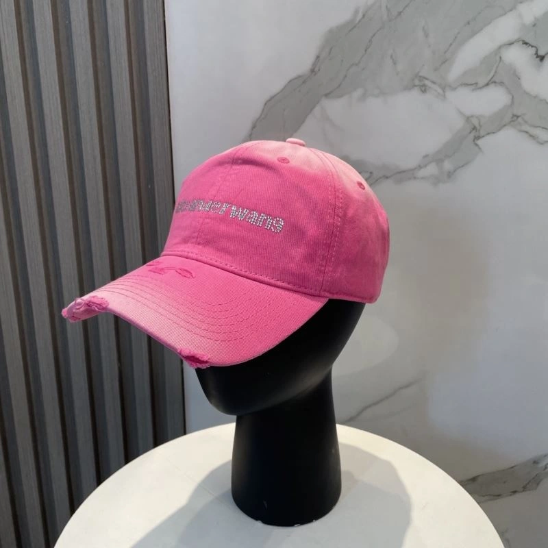 Alexander Wang Caps Modern 261052