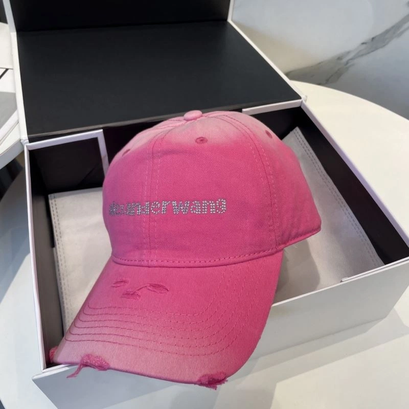 Alexander Wang Caps Modern 261052
