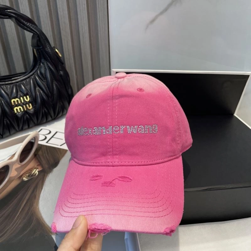 Alexander Wang Caps Modern 261052