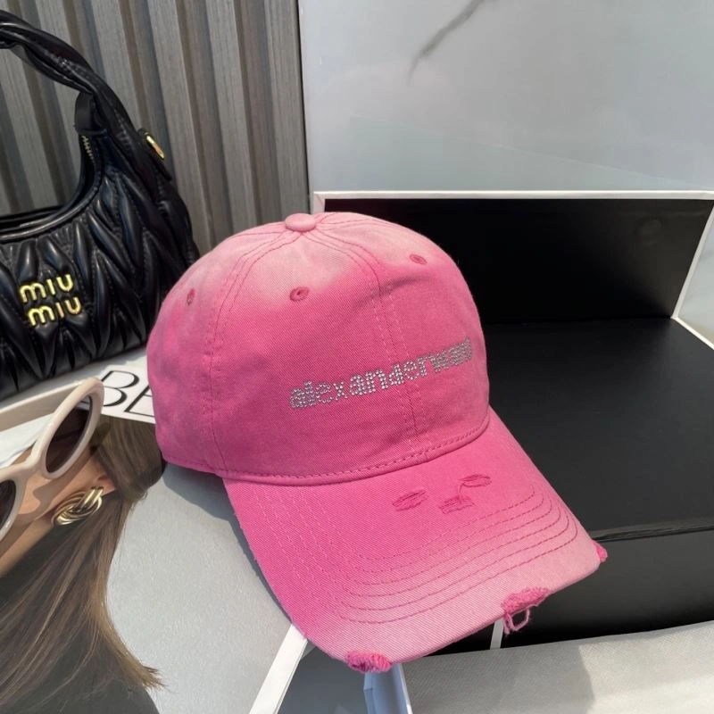 Alexander Wang Caps Modern 261052