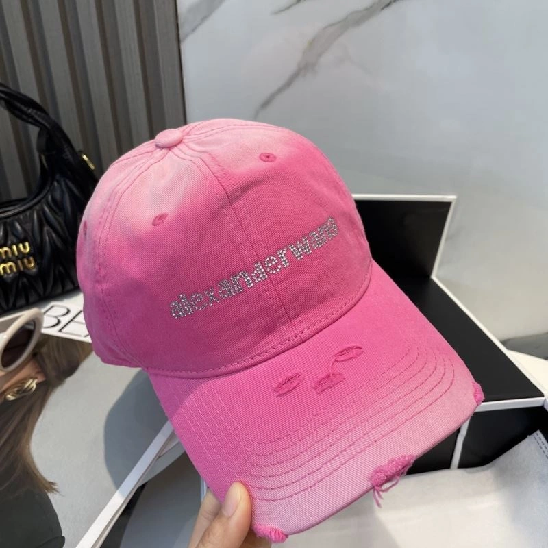 Alexander Wang Caps Modern 261052