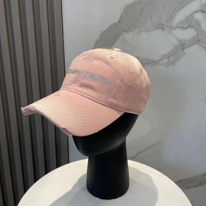 Vibrant Alexander Wang Caps 261051