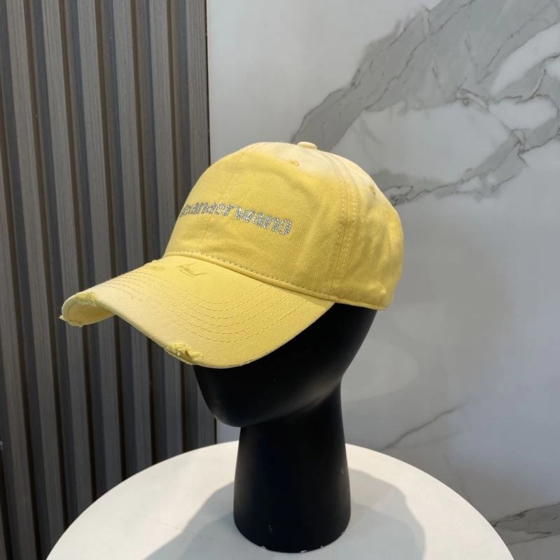 HighPerformance Alexander Wang Caps 261050