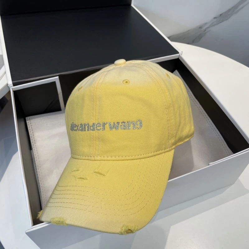 HighPerformance Alexander Wang Caps 261050