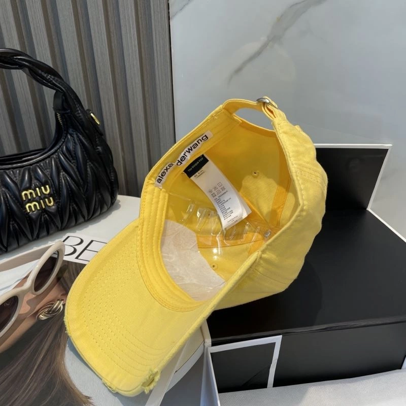 HighPerformance Alexander Wang Caps 261050