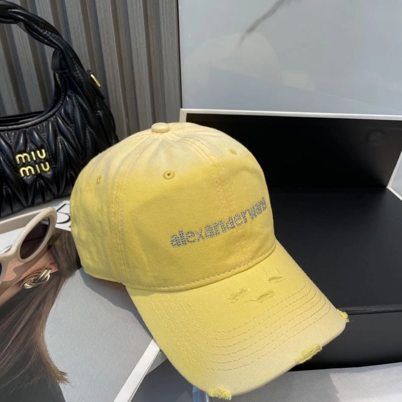 HighPerformance Alexander Wang Caps 261050