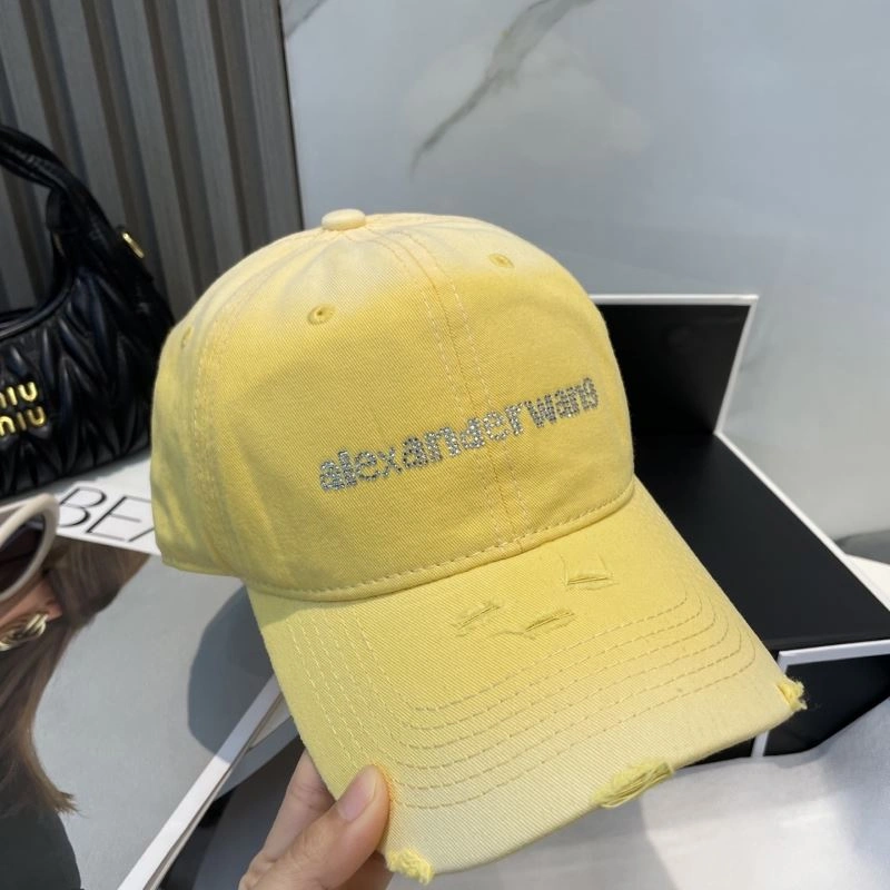 HighPerformance Alexander Wang Caps 261050