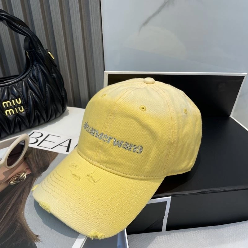 HighPerformance Alexander Wang Caps 261050