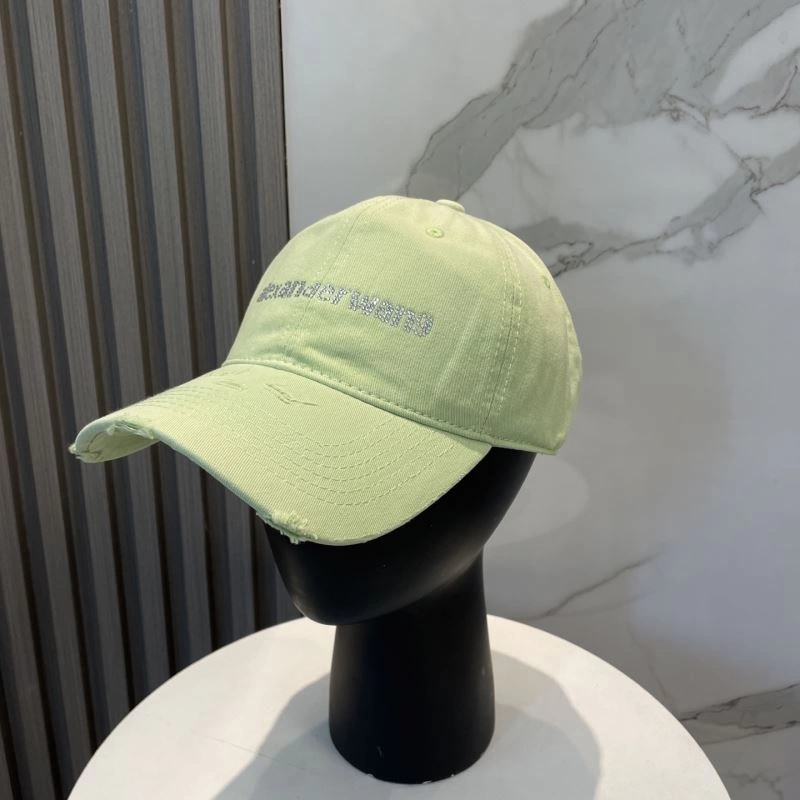 Contemporary Alexander Wang Caps 261035