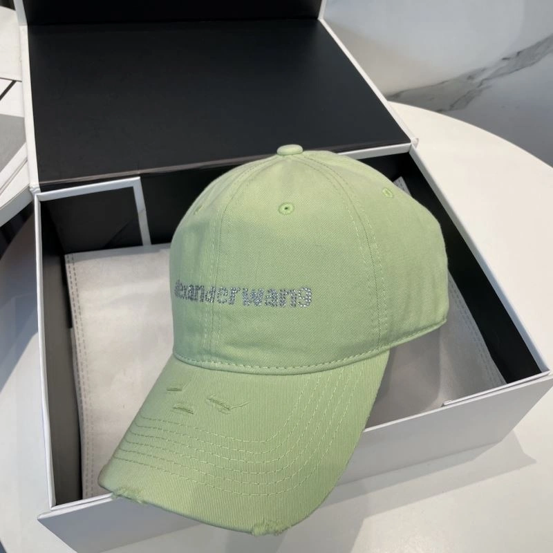 Contemporary Alexander Wang Caps 261035