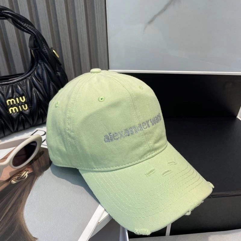 Contemporary Alexander Wang Caps 261035