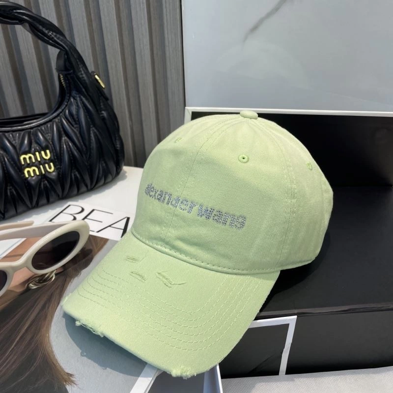 Contemporary Alexander Wang Caps 261035