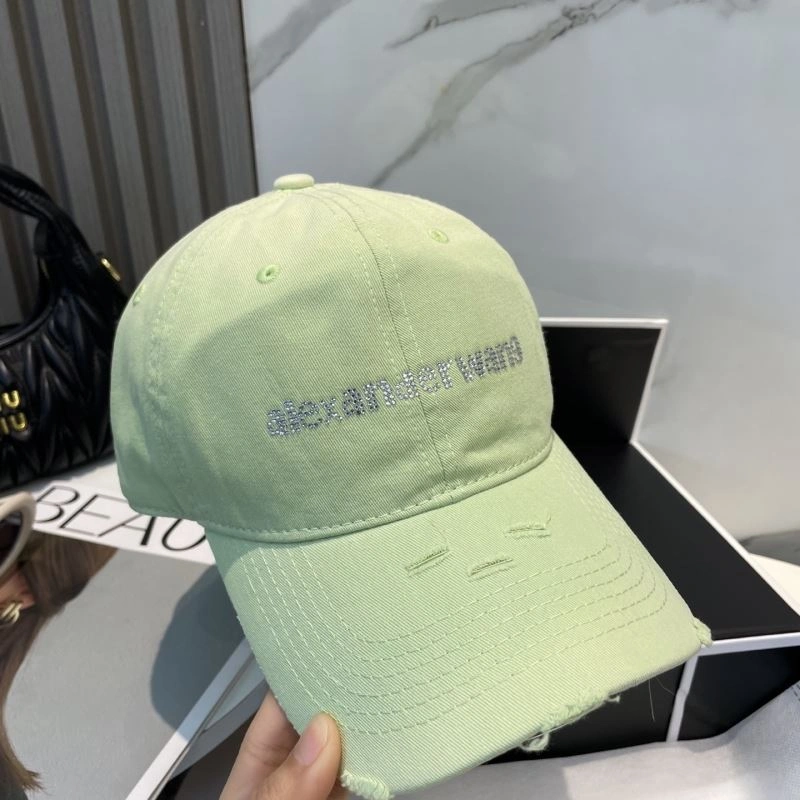 Contemporary Alexander Wang Caps 261035