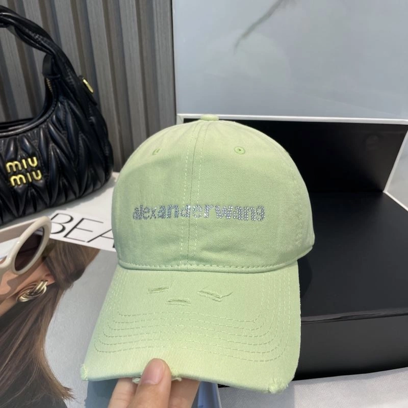 Contemporary Alexander Wang Caps 261035