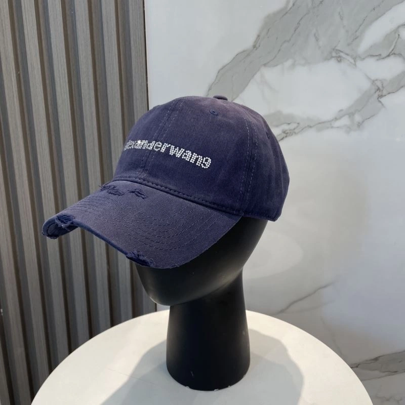 Unique Alexander Wang Caps 261037