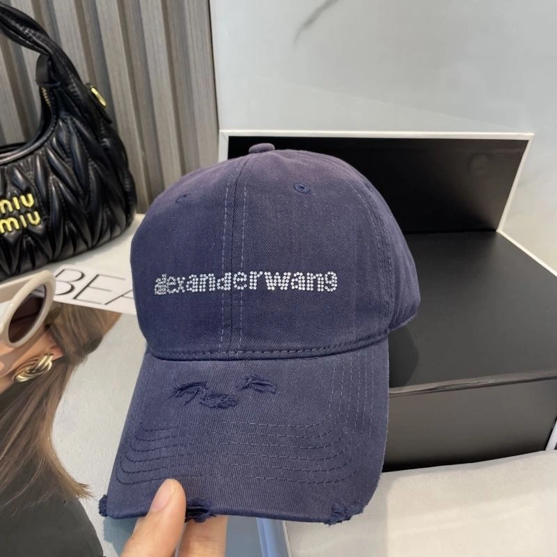 Unique Alexander Wang Caps 261037