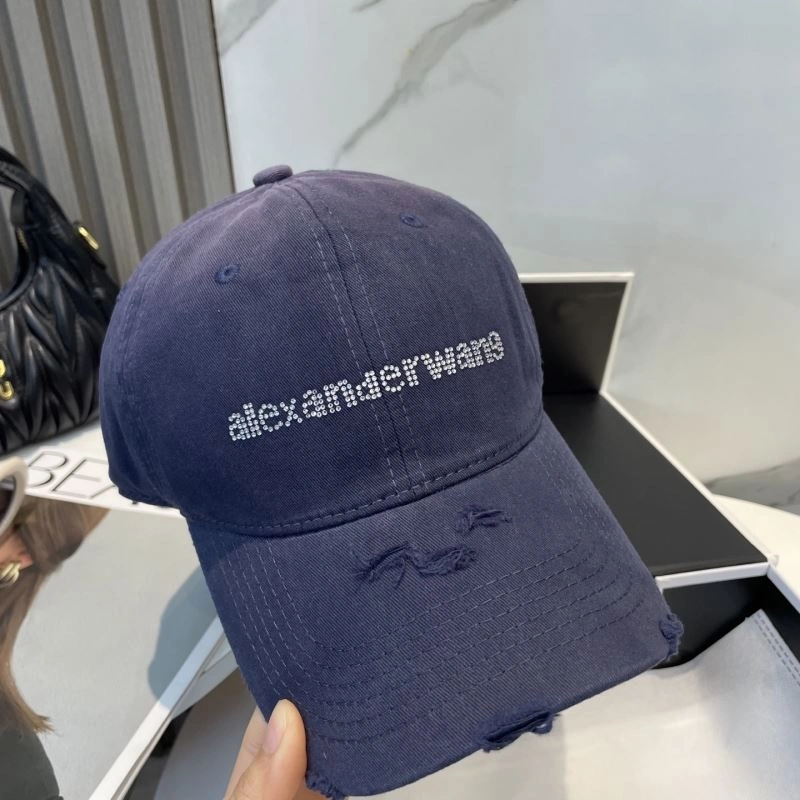 Unique Alexander Wang Caps 261037