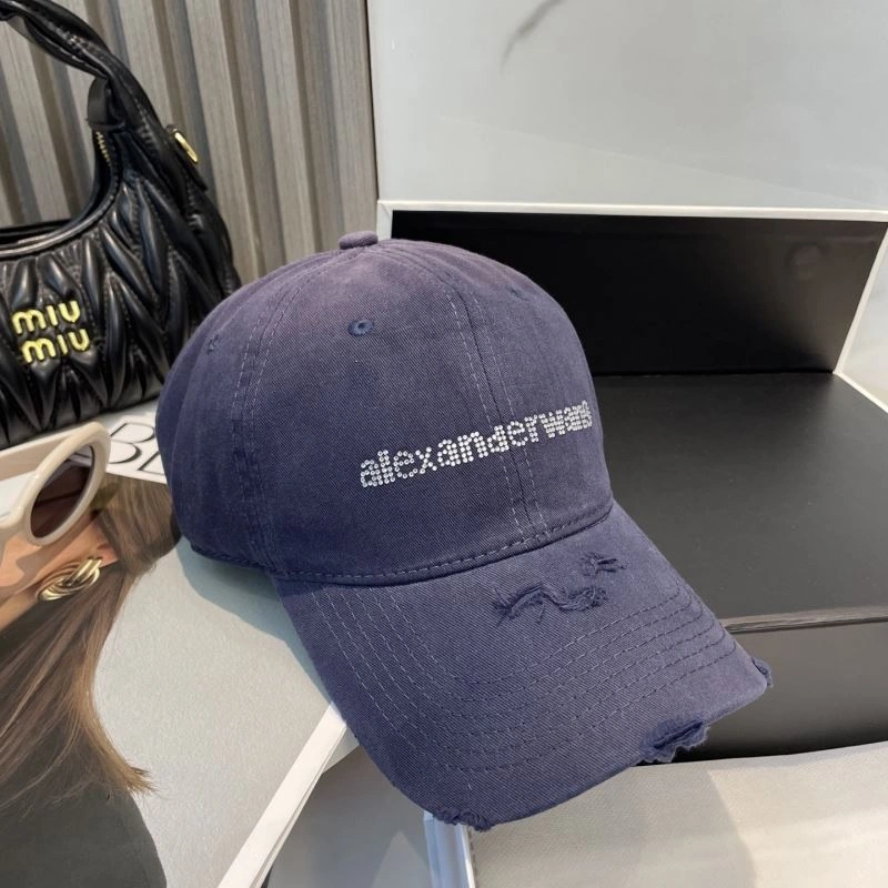 Unique Alexander Wang Caps 261037